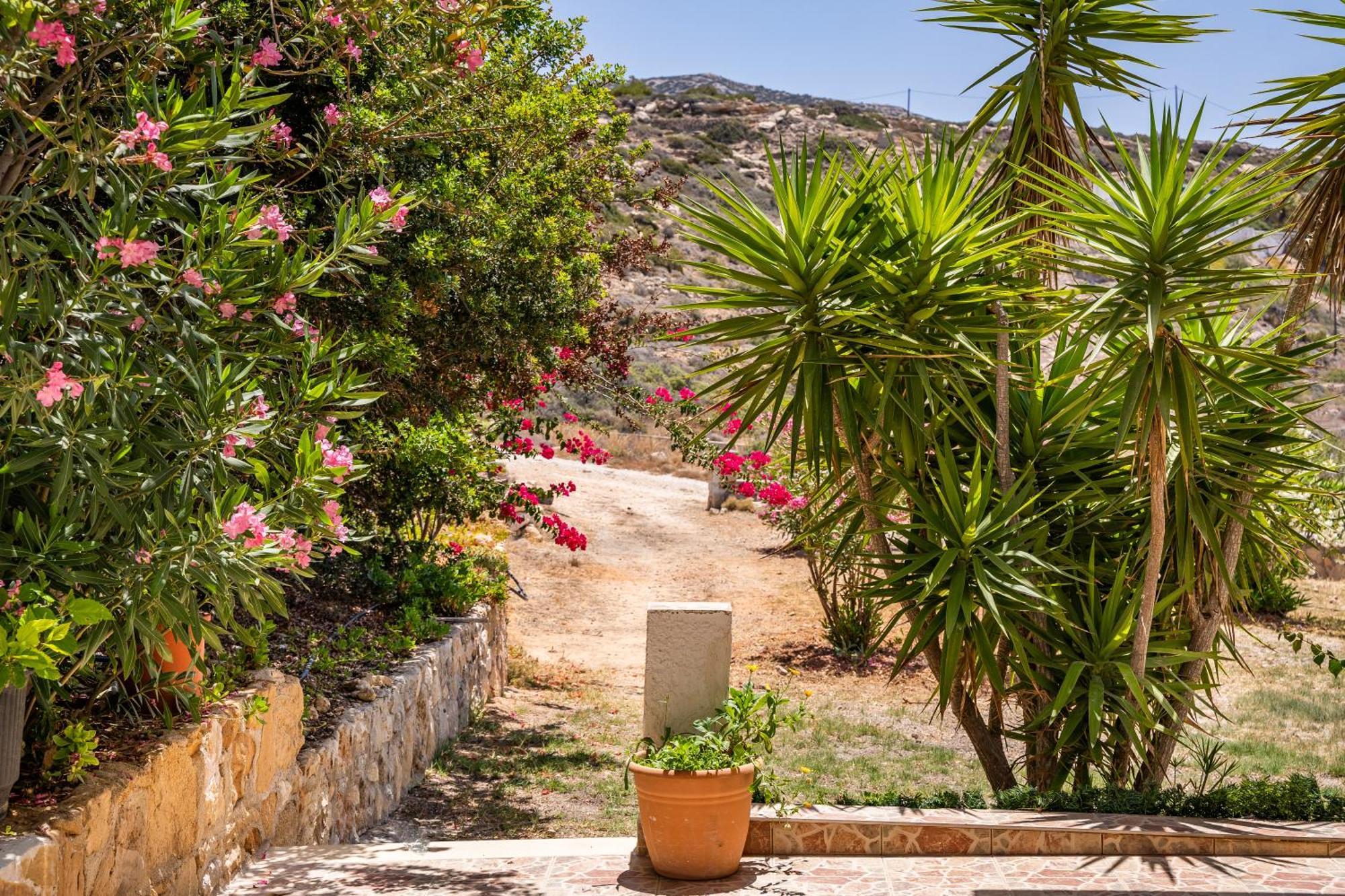 Hotel Sun Week à Lefkos  Extérieur photo