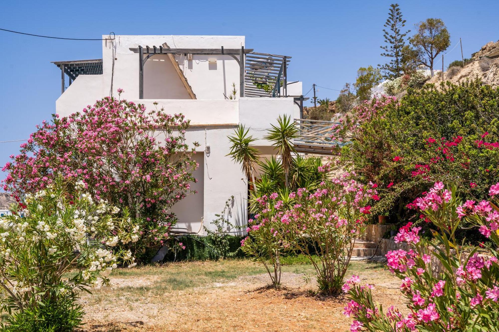 Hotel Sun Week à Lefkos  Extérieur photo